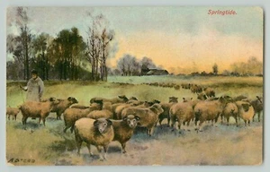 POSTCARD SHEEP SHEPHERD FLOCK B.B LONDON SERIES NO A35 'SPRINGTIDE' ASTEAD 1912 - Picture 1 of 2