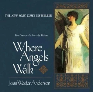 Where Angels Walk ~ Joan Wester Anderson NYT Bestseller NEW Great Holiday Gift! - Imagen 1 de 5