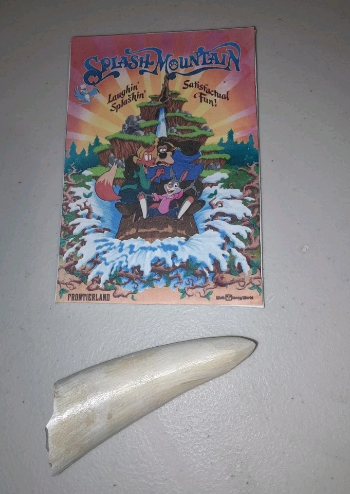 DISNEY WORLD SPLASH MOUNTAIN BRIAR PATCH THORN TIP PROP  - Image 1 of 4