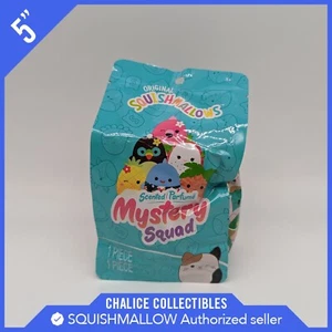 Peluche peluche Squishmallows Kellytoy Squad PARFUMÉ sac mystère 5 pouces 1 pièce NEUF - Photo 1 sur 4