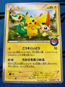 Pikachu 120/BW-P NonHolo Pokemon Center Promo Japanese Ver Pokemon Card #1774 - Picture 1 of 18
