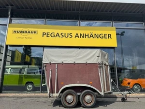 Böckmann Viehanhänger V3S 1,6 t Frontausstieg Holz/ Plane - Bild 1 von 6
