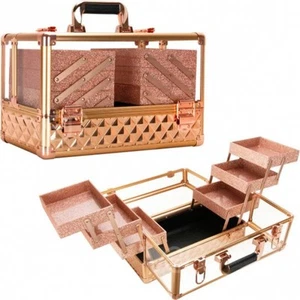 Armored Acrylic Makeup Train Case Professional Nail Art Storage with 6-Tiers Acc - Picture 1 of 2