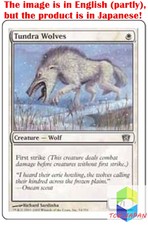 Magic: The Gathering MTG Jpver Tundra Wolves 8ED Common