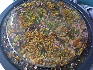 "Frühling in meinem Garten"" Handarbeit Epoxidharz Seite Kaffee Bild Tisch Echtgrün" - Bild 1 von 6