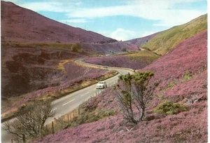 Slochd Pass Inverness-Shire Schottland lila heimisch Hügel Vintage Postkarte - Bild 1 von 1