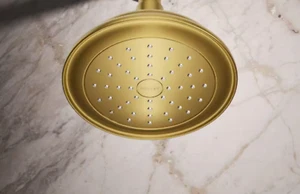 KOHLER K-72774-G Artifacts Single-function Showerhead, 1.75gpm (SHOWERHEAD ONLY) - Picture 1 of 3