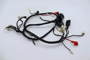 Haz De Cable Eléctrico JM MOTORS 50 SANTANA RS 2022 A 2023 - Picture 1 of 7