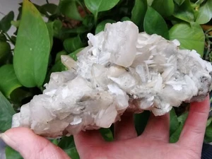 566g Natürlicher Calcit auf Quarzkristallcluster Mineralprobe Porzellan - Bild 1 von 12
