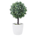 Chic Boxwood Topiary Tree in Pot, Add Charm to Your Home or Office