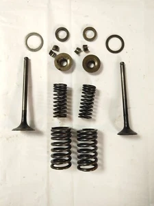 Válvula de admisión y escape 83-86 Honda VF750 VF700 con resortes V45 Magna Sabre - Imagen 1 de 6