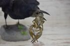 XL Crow w/ Lobster Crab Rook (Corvus Frugilegus) Taxidermy Mount Eurasian Raven