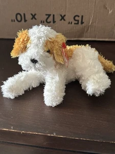 Ty Beanie Baby Darling the Dog DOB August 22, 2000 - Picture 1 of 3