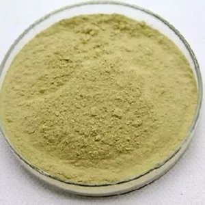 Panax Estratto di Ginseng 20% Ginsenosidi Fine E Buona Qualità 250 grammi - Foto 1 di 1