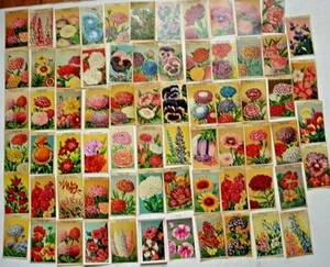 LOT-70 ETIQUETTES DE FLEURS -CHROMOS DEBUT 20e -ORIGINE GRAINETIER "CARD IMAGE" - Bild 1 von 6