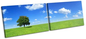 Field Tree Landscapes MULTI CANVAS WALL ART Picture Print VA - Picture 1 of 1
