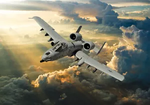 Fairchild Republic A-10 Thunderbolt II canvas print various sizes free delivery - Picture 1 of 1