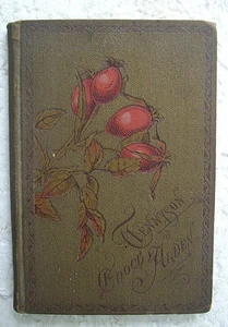 1884 TENNYSON'S ENOCH ARDEN - GERMAN - PAUL THUMANN ILLUSTRATED - BERLIN - Picture 1 of 12