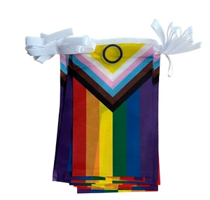 Intersex Progress Pride Flag Bunting 20 Polyester Inclusive Rainbow Pride Flags - Picture 1 of 4