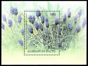 AZERBAIYÁN 385 - Flores de jardín "Muscari elecostomum" S/S (pb76387) - Imagen 1 de 1