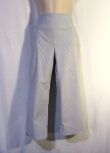 NWT! - S.C. & Co - Tummy Control Blue & White Pinstriped Capri - Size 12 - Picture 1 of 5
