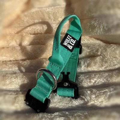 Cuello Alpha Slim ~ Tiffany Teal Foto 1 de 4