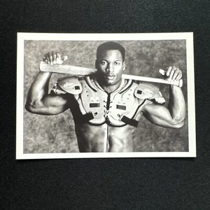 🎖️Bo Jackson🎖️ Shoulder Pads ~ 1990 Score Style/4th & Goal Brand Promo/Oddball - Picture 1 of 3