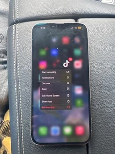 Apple iPhone 13 Pro Max  TikTok installed - 256 GB - Gold (Unlocked) - Picture 1 of 4