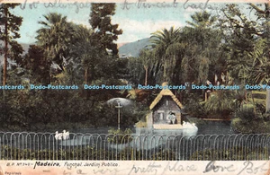 R534783 Madeira Funchal Jardim Publico Postcard - Bild 1 von 4