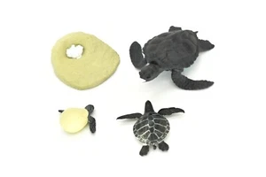 Turtle Life Cycle Figure, Educational, Realistic Plastic Model Toy, Set of 4 - Picture 1 of 7