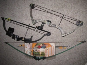 3 BEAR Archery Youth Bows WARRIOR III BRAVE 2 Compound & GOBLIN Recurve Bow Set - Picture 1 of 10
