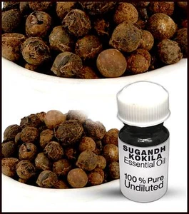 Sugandh kokila Essential Oil 100% Pure Undiluted (10ML-500ML) - Picture 1 of 1