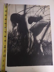 Vintage Nude Female Art Study Small Poster Nature Hippie Woods Naked Grass Artsy - Picture 1 of 9