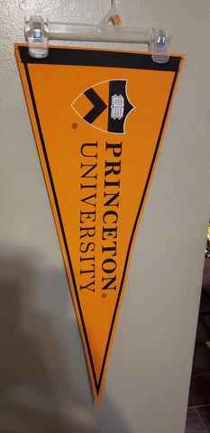 PRINCETON TIGERS   FELT VINTAGE NCAA  PENNANT 6/3/22 Cover