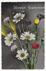 Congratulations - Hartelijk Gefeliciteerd - Postcard - 1967 - VG - Picture 1 of 2