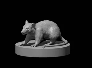 Giant Rat for D&D Dungeons and Dragons Pathfinder DND Mini - Picture 1 of 1