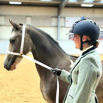 SHELDON WEISS IN DER HAND ZEIGEN HALFTER, FLACHES GURTBAND, 2 GRÖßEN, MESSINGGLIEDER *VERSANDKOSTENFREI*