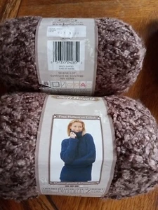 New Bernat Soft Boucle Yarn Lot of 2 Misty Shades #22927 Brown 10oz Bulky Sealed - Picture 1 of 4
