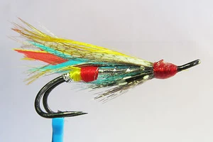1x mouche Saumon SILVER DOCTOR DOUBLE hook salmon fly steelhead hairwing fliegen - Photo 1/1