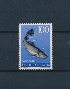 [47586] Jugoslawien 1954 Marine Life Fish aus Set postfrisch