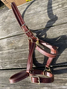 Amish made brown leather horse size halter w/brass hardware - Bild 1 von 3