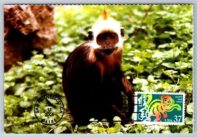 3832 Chinese Lunar New Year, Year of the Monkey FDC Maxi Card - Image 1 of 2