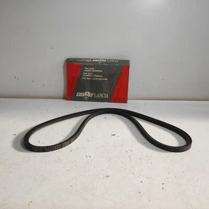 CINGHIA PER ALTERNATORE FIAT 238 B ORIGINALE 4434804 - Imagen 1 de 6