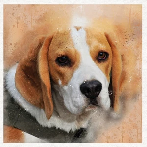 Dog - Beagle Watercolour Fabric Craft Panels in 100% Cotton or Polyester - Picture 1 of 1