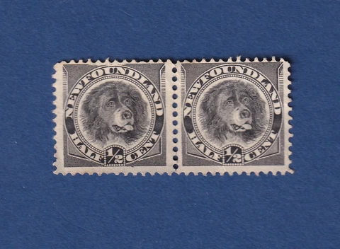 Newfoundland stamps #58 1/2 c x 2, Newfoundland dog F/ unused NG Cover