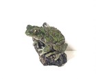 Bandai Namco Amphibian Isikawa