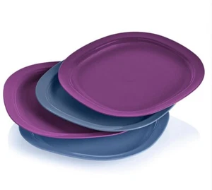NEW Tuppeware Set of 4 Microwave Reheatable Luncheon Plates - Picture 1 of 1