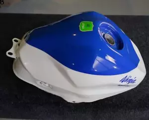 Kawasaki Ninja ZX-4RR 40th Anniversary Fuel Tank - Picture 1 of 7