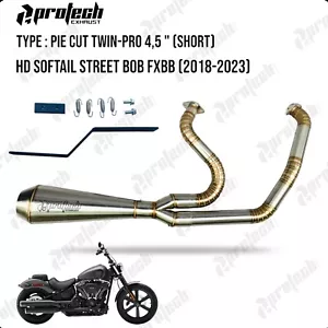 Exhaust 2021 Harley-Davidson STREET BOB FXBBS 114 2-1 Pipe - Picture 1 of 2