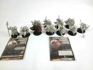 Warmachine Hordes Khador Iron Fang Pikemen Unit x9 + Officer & Standard Bearer - Picture 1 of 5